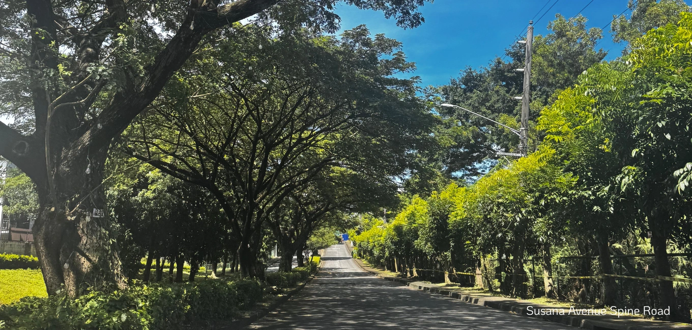 https://signatures.com.ph/app/uploads/2025/03/20260415-024653-susana-avenue_spine-road.webp